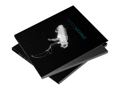 INTO CURRENTS (EP, Digipack)